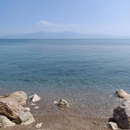 Diamond By The Sea